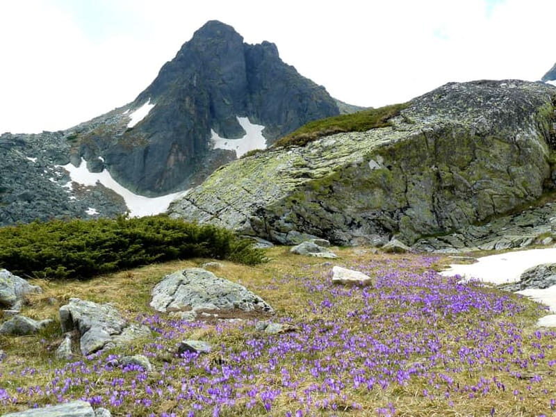 From Sofia: The Seven Rila Lakes Full-Day Self-Guided Tour - A Deep Dive into the Experience