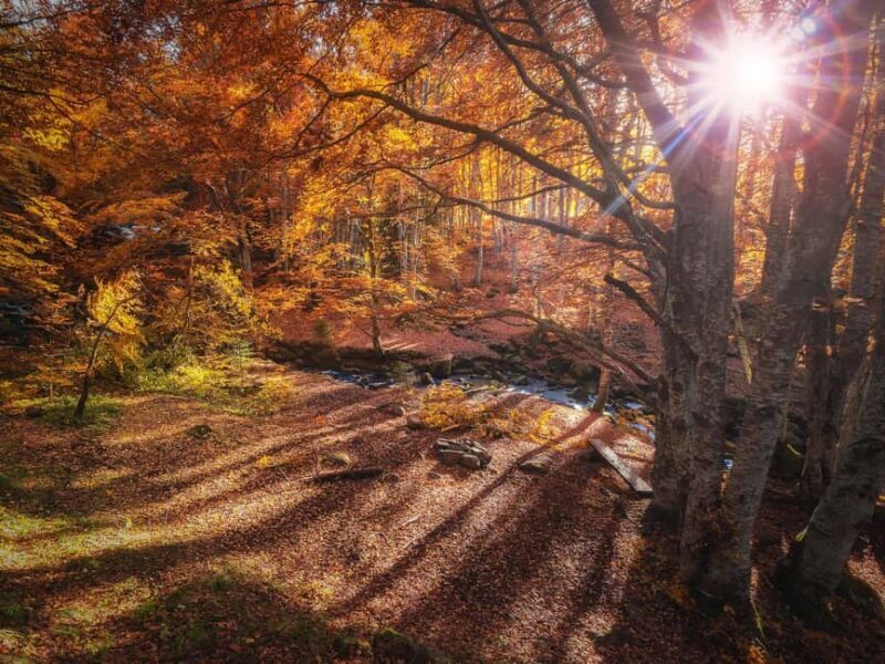 From Sofia: Vitosha Mountain and Pancharevo Lake - Insights from Past Travelers