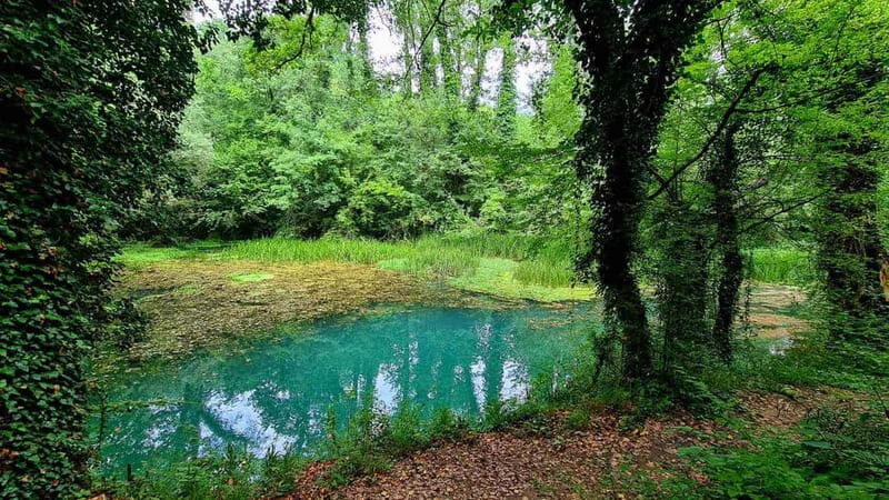 From Sofia: Zlatna Panega River Hike with Springs Visit - Exploring Bulgaria’s Natural Gems with Zelanos Tours