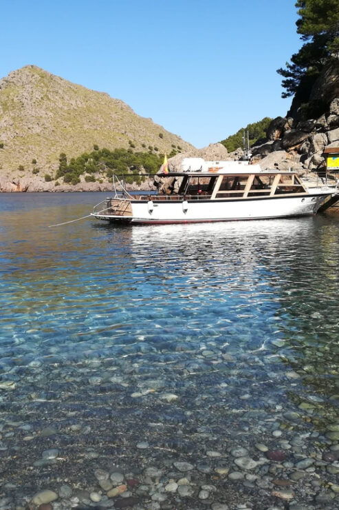 From Soller: Boat Trip to Torrent De Pareis and Sa Calobra - Good To Know