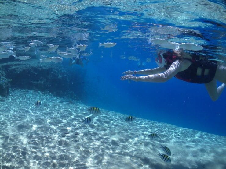 From Soma Bay and Makadi: Sharm El Naga Snorkeling Trip - Booking and Cancellation Policies