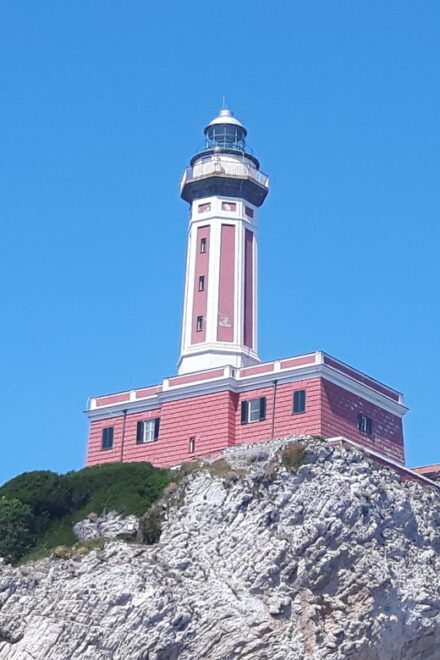 From Sorrento: Boat Tour of the Island of Capri - MSH - Important Information