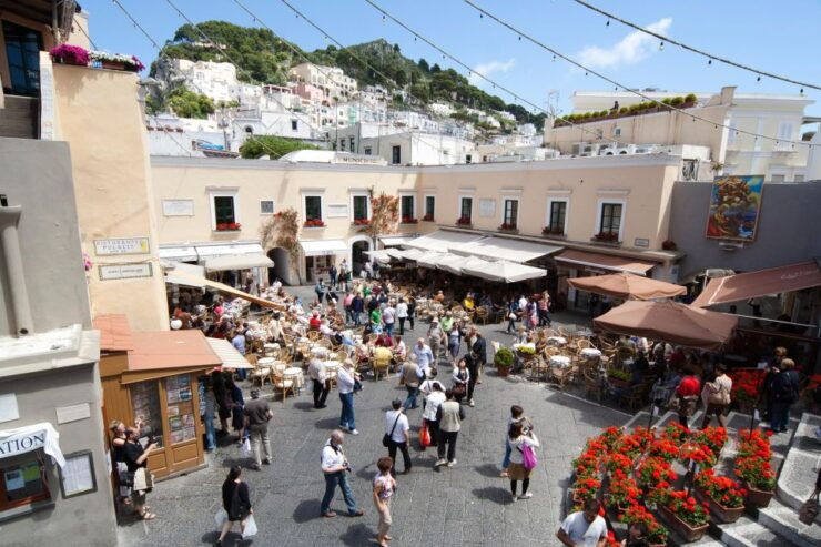 From Sorrento: Capri, Anacapri & Blue Grotto Private Tour - Included Services