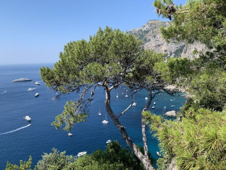 From Sorrento: Day Trip to Capri & Anacapri With Blue Grotto - Itinerary Highlights