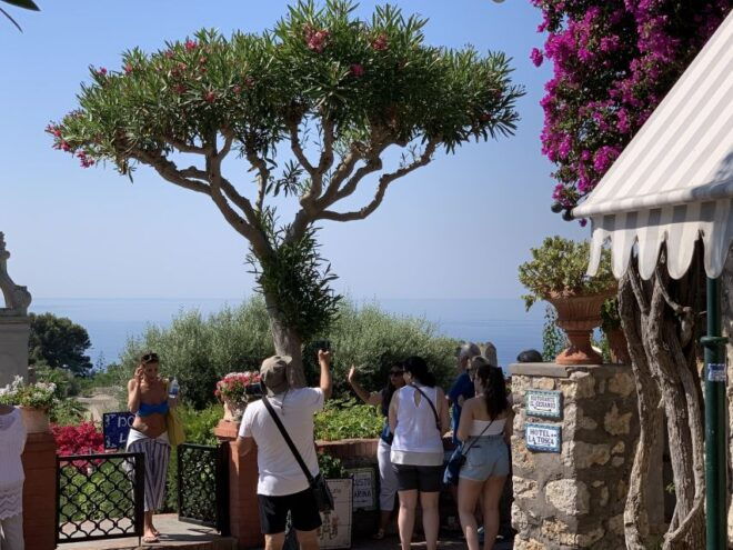 From Sorrento: Day Trip to Capri & Anacapri With Blue Grotto - Customer Reviews