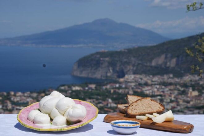 From Sorrento: Food Immersion in Farmhouse & Cooking Class - Engaging Farm Activities