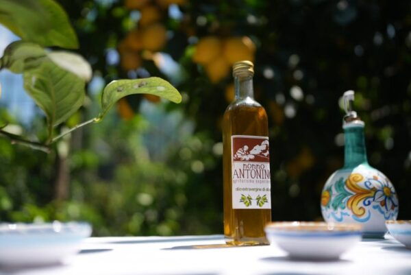From Sorrento: Food Immersion in Farmhouse & Cooking Class - Frequently Asked Questions