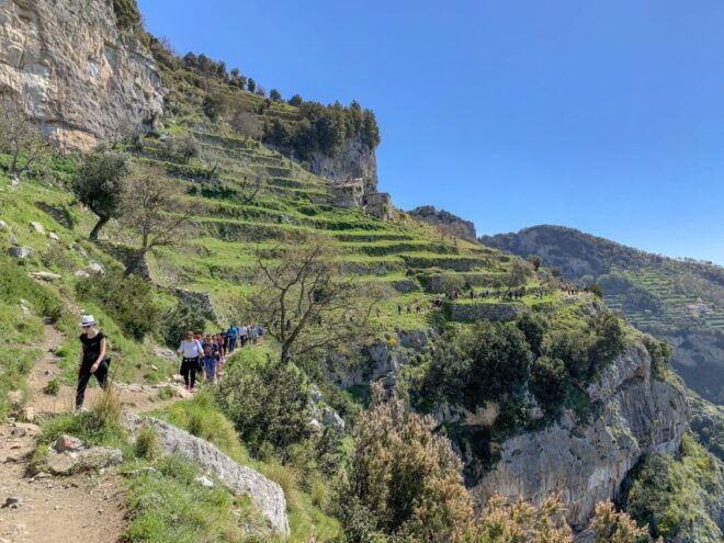 From Sorrento: Path of the Gods Hiking Experience - Meeting Point & Important Information