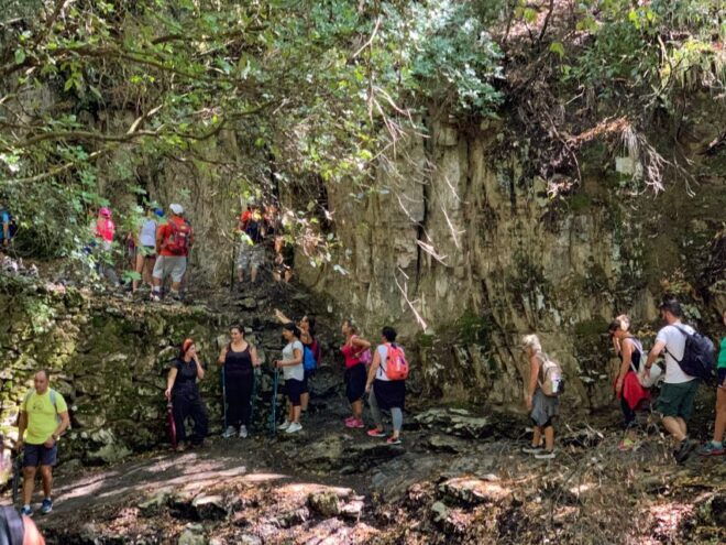 From Sorrento: Path of the Gods Hiking Experience - Customer Reviews