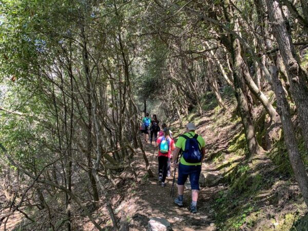 From Sorrento: Path of the Gods Hiking Experience - Price & Duration