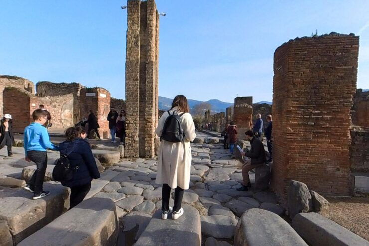 From Sorrento: Pompeii and Vesuvius Guided Tour With Lunch - Tour Details