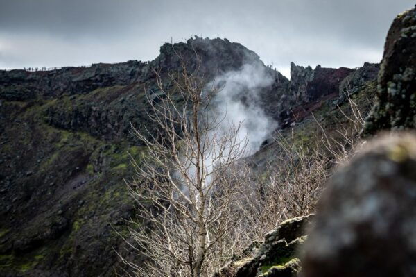 From Sorrento: Pompeii and Vesuvius Guided Tour With Lunch - The Sum Up