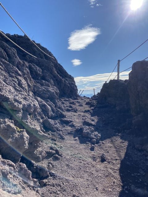 From Sorrento: Pompeii and Vesuvius Skip-the-Line Tour - Good To Know