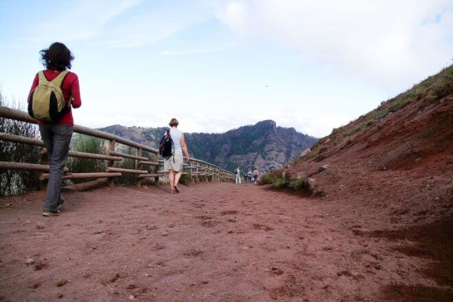 From Sorrento: Pompeii and Vesuvius Tour - Reserve Now & Pay Later