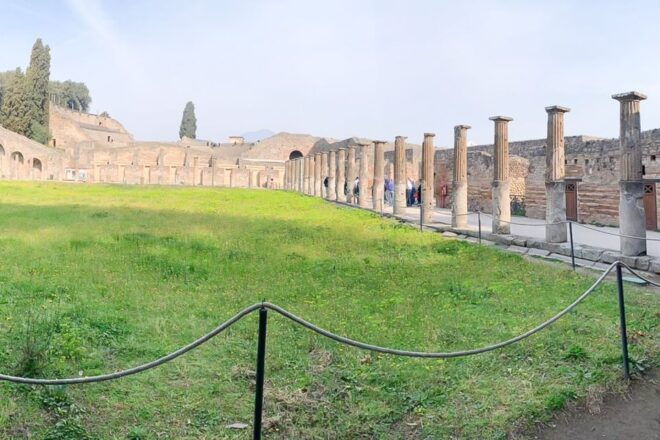 From Sorrento: Pompeii and Vesuvius Tour - Other Tour Options