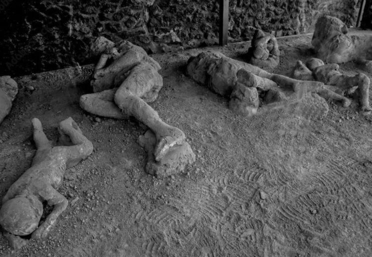 From Sorrento: Pompeii and Wine Tasting Day Trip - Booking Information