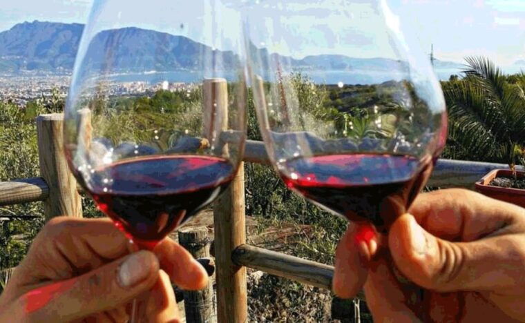 From Sorrento: Pompeii & Mt. Vesuvius Tour with Lunch & Wine - Transportation, Timing, and Practical Aspects