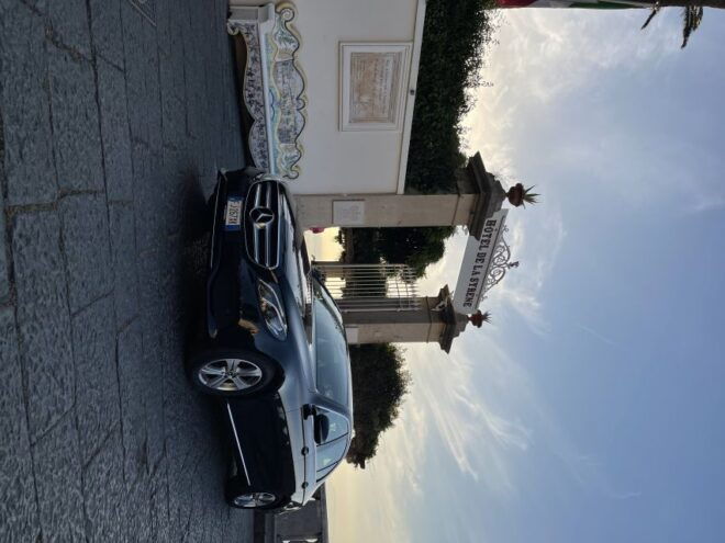 From Sorrento: Pompeii & Wine Tasting Private Tour by Car - Inclusions