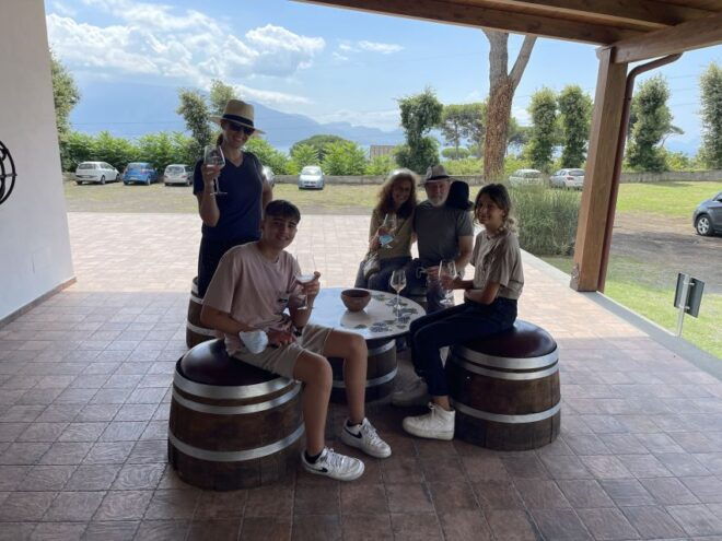 From Sorrento: Pompeii & Wine Tasting Private Tour by Car - Directions