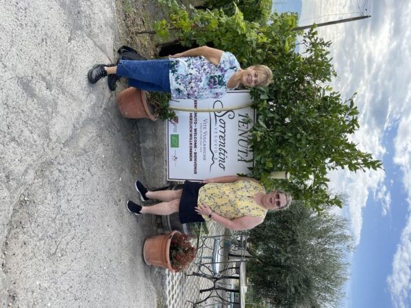 From Sorrento: Pompeii & Wine Tasting Private Tour by Car - The Sum Up