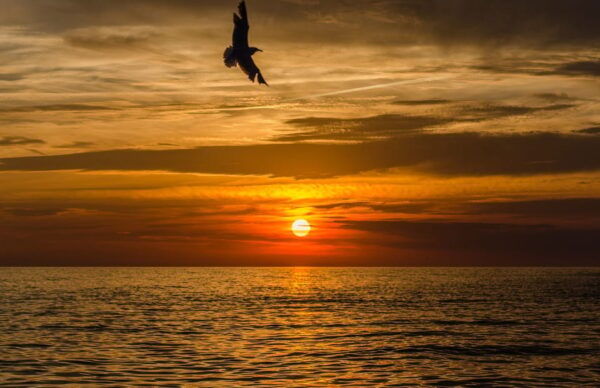 From Sorrento: Private Sunset Boat Tour to Capri - Additional Information