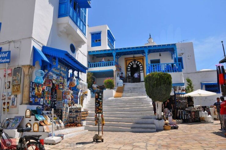 From Sousse: Day Trip to Carthage, Tunis and Sidi Bou - Carthage National Museum: Explore the History