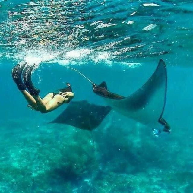 From South Bali: Nusa Penida Full-Day Trip With Snorkeling - Trip Overview