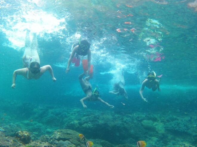 From South Bali: Nusa Penida Full-Day Trip With Snorkeling - Transportation