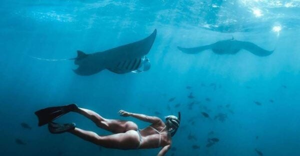 From South Bali: Nusa Penida Full-Day Trip With Snorkeling - Snorkeling Experience