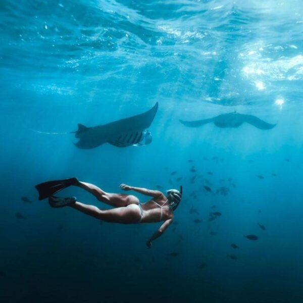 From South Bali: Nusa Penida Full-Day Trip With Snorkeling - Common Questions