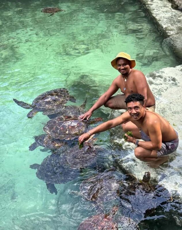 From South Coast. Blue Lagoon, Salaam Cave & Rock - An In-Depth Look at the Tour Itinerary