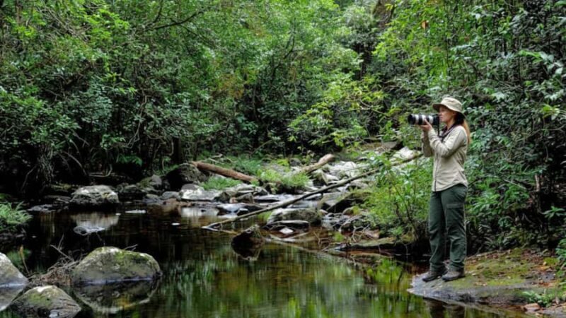 From South Coast: Sinharaja Rainforest Day Trip - Exploring the South Coast: Sinharaja Rainforest Day Trip