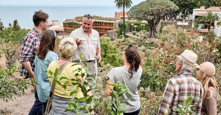 From South Tenerife: Full-Day VIP Island Tour - Activity Details