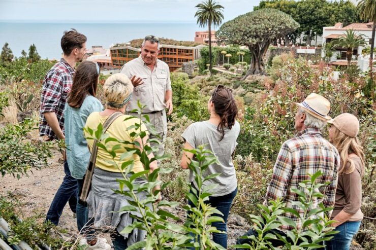 From South Tenerife: Full-Day VIP Island Tour - Tour Experience
