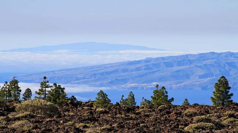 From South Tenerife: Half-Day Tour to Mount Teide - FAQs
