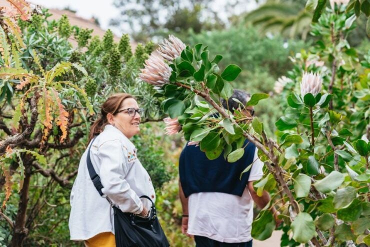 From South Tenerife: La Gomera Island Day Trip With Lunch - Activity Details