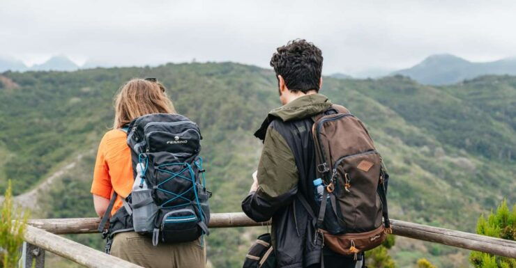 From South Tenerife: La Gomera Island Day Trip With Lunch - Experience Highlights