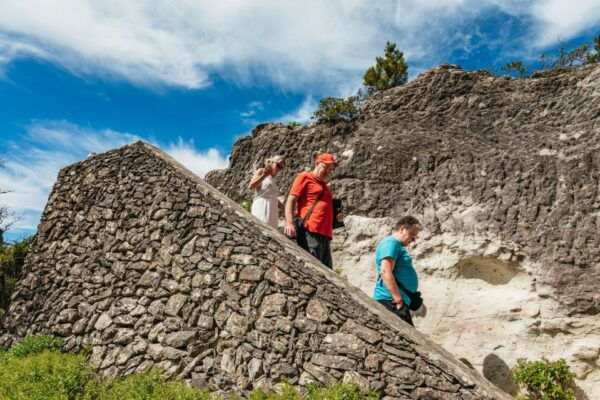 From South Tenerife: La Gomera Island Day Trip With Lunch - Forest of El Cedro: Gateway to Garajonay National Park