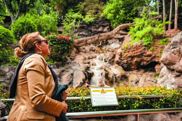 From South Tenerife: Loro Park Zoo Ticket & Hotel Transfers - The Sum Up