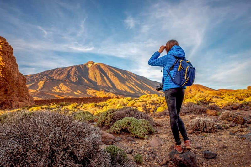 From South Tenerife: Mount Teide Hiking Day Trip & Cable Car - Who Should Book This Tour?