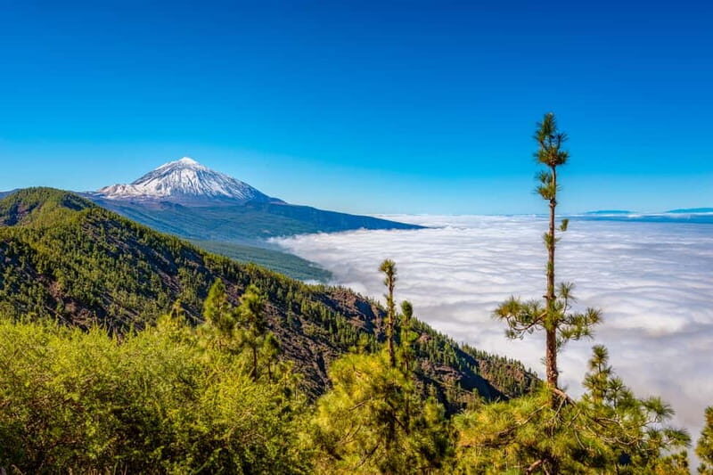 From South Tenerife: Mount Teide Hiking Day Trip & Cable Car - Final Thoughts