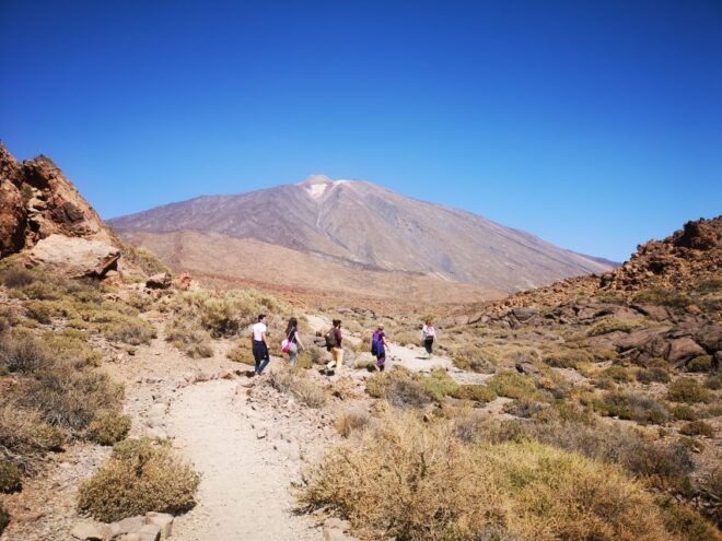 From South Tenerife: Teide National Park Tour - Inclusions