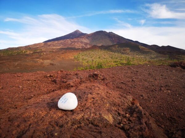 From South Tenerife: Teide National Park Tour - Confirmation Process