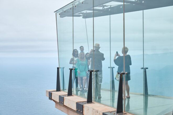 From South Tenerife: VIP Gomera Tour - Discover the Historical Significance of Gomera