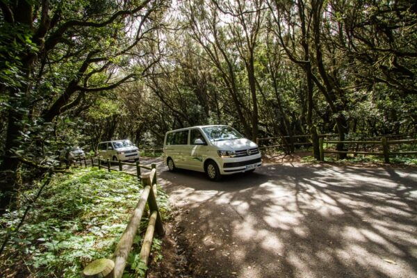From South Tenerife: VIP Gomera Tour - The Sum Up