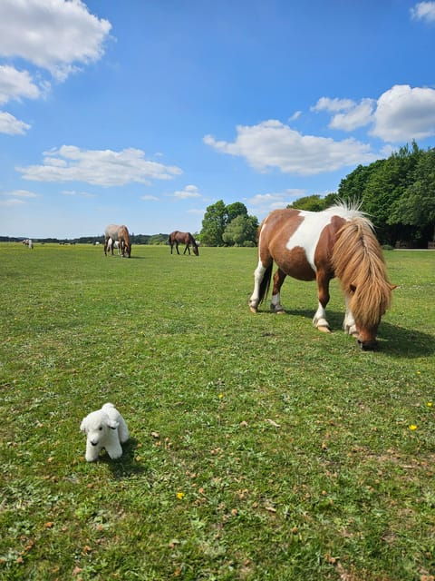 From Southampton: New Forest and Salisbury Private Tour - Who Would Love This Tour?
