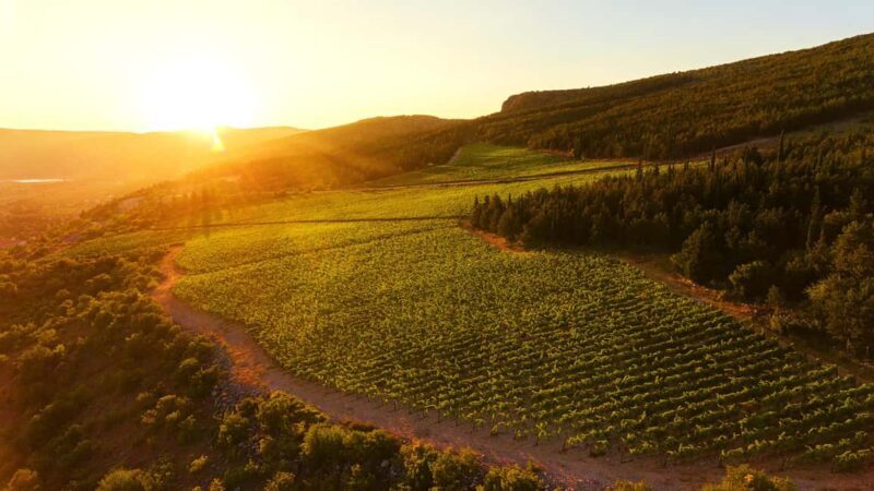 From Split: Blue and Red Lakes and Winery Grabovac Tour - Good To Know