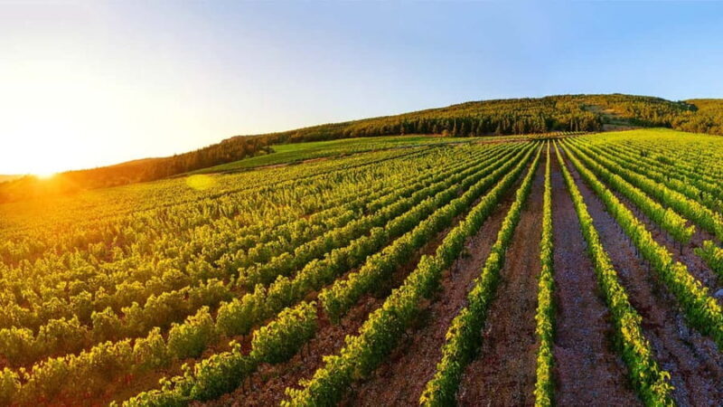 From Split: Blue and Red Lakes and Winery Grabovac Tour - Frequently Asked Questions