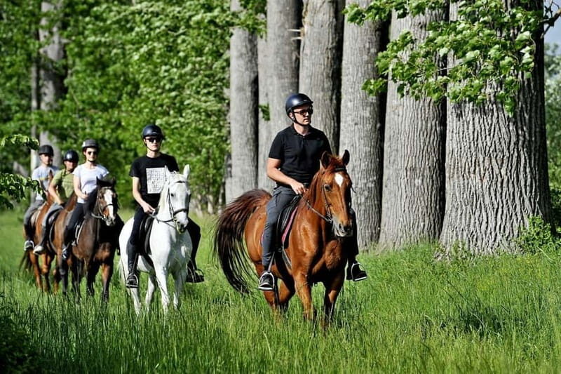 From Split: Full-Day Horse Riding & Quad Biking with Lunch - FAQs