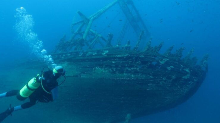 From Split: Island Diving & Blue Cave Tour With Lunch - Activity Details